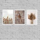 Kit 3 Quadros Capim Dos Pampas E Passarinho 24x18cm