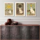 Kit 3 Quadros Cartas Tarot Gatos- The Sun, The Moon, The Star 33x24cm - com vidro