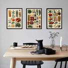 Kit 3 Quadros Cozinha Italiana Vintage - Ingredientes 24x18cm Kit 3 Quadros Cozinha Italiana Vintage - Ingredientes 24x18cm