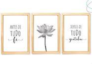 Kit 3 Quadros decorativos - Fé e Gratidão Flor de Lótus