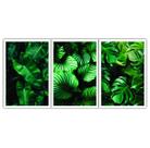 Kit 3 Quadros Decorativos Folhas Verdes 60x40 Sala Quarto