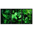 Kit 3 Quadros Decorativos Folhas Verdes 60x40 Sala Quarto