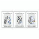 Kit 3 Quadros Decorativos Frase Anatomia Coração Cérebro Pulmão Motivação Medicina Enfermagem Flor