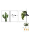 Kit 3 Quadros Decorativos Para Sala Quarto Cacto Folhas Folhagem