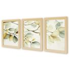 Kit 3 Quadros Decorativos Verde Folhagem Natureza Plantas Boho com Moldura Natural e vidro Kit 3 Quadros Decorativos Verde Folhagem Natureza Plantas Boho com Moldura Natural e vidro