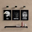 KIT 3 Quadros Decortativos FOCO, DISCIPLINA, EXECUÇÃO foto ou imagem - Decoração Quarto ou Sala