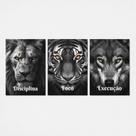 Kit 3 Quadros Disciplina Foco Execução Motivacional 28x40cm