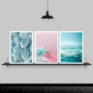 Kit 3 Quadros Estrela Do Mar Rosa E Azul 24x18cm - com vidro