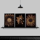 Kit 3 Quadros Flores Girassóis Bronze 24x18cm - com vidro