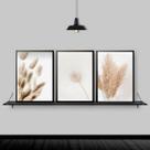 Kit 3 Quadros Flores Secas Bege 24x18cm
