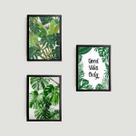 Kit 3 Quadros Folhagens Good Vibes Only 24x18cm