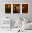 Kit 3 Quadros Fotografias Borboletas Marrom 33x24cm - com vidro
