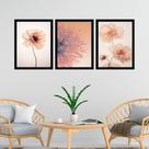 Kit 3 Quadros Fotos Modernas Flores Tons Pêssego 24x18cm - com vidro