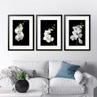 Kit 3 Quadros Grandes Orquídeas Brancas - 60x48cm