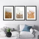 Kit 3 Quadros Grandes Trigo - 60x48cm Kit 3 Quadros Grandes Trigo - 60x48cm