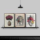 Kit 3 Quadros Medicina Anatomia Flores 33x24cm - com vidro