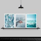 Kit 3 Quadros Praia Estrela Do Mar 24x18cm - com vidro