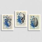 kit 3 Quadros Psicologia Cérebro Coração 33x24cm - com vidro