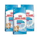 Kit 3 Ração Royal Canin Mini Indoor Junior Cão Filhote 2,5Kg Kit 3 Ração Royal Canin Mini Indoor Junior Cão Filhote 2,5Kg