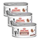 Kit 3 Ração Úmida Royal Canin Recovery Lata Cães E Gato 195g