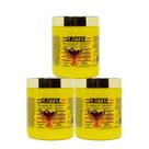 Kit 3 Recuperação intensiva Coiffer 500g cabelo elastico 3Un