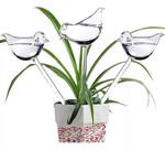 Kit 3 Regador Automático Gotejador Irrigação Planta Jardim