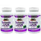 Kit 3 Resveratrol - Semente De Uva 500mg 360 Cápsulas - Rei Terra