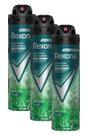 kit 3 Rexona Desodorante Antitranspirante Aerosol Masculino Impacto 72 Horas 150Ml kit 3 Rexona Desodorante Antitranspirante Aerosol Masculino Impacto 72 Horas 150Ml