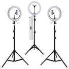 Kit 3 Ring Light Anel De Luz Led 10" 26cm Tripé Grande 2,1m