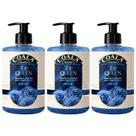 Kit 3 Sabonetes Líquidos Coala The Queen 500ml Limpeza Suave e Perfume Duradouro Kit 3 Sabonetes Líquidos Coala The Queen 500ml Limpeza Suave e Perfume Duradouro