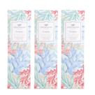 Kit 3 Saches Greenleaf Seaspray Slim 90ml