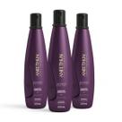 Kit 3 Shampoo 300mL Aneethun Defrizante No Frizz System