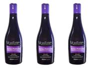 Kit 3 Shampoo Desamar. Perfect Plantinum 300ml Maxilluring