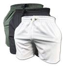 Kit 3 Short de Elastano Dry fit Bermuda Academia