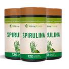Kit 3 Spirulina 500mg 120 cápsulas Prime Ervas