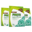 Kit 3 Substrato Forth para Suculentas e Cactos - 2 Kg