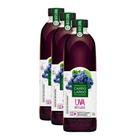 Kit 3 Suco de Uva Integral Campo Largo 1,35l Kit 3 Suco de Uva Integral Campo Largo 1,35l