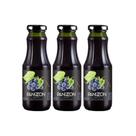 Kit 3 Suco de Uva Panizzon 300ml Kit 3 Suco de Uva Panizzon 300ml