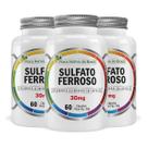 Kit 3 Sulfato Ferroso 30mg 60 Cápsulas Flora Nativa