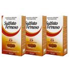 Kit 3 Sulfato Ferroso 60 Comprimidos Arte Nativa