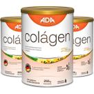 Kit 3 Suplemento Alimentar Colágeno Verisol Sabor Abacaxi c Hortelã 255g Pó Biotina Scoop Dosador