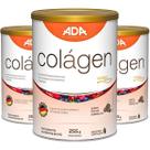 Kit 3 Suplemento Alimentar Colágeno Verisol Sabor Frutas Vermelhas 255g Pó Biotina Scoop Dosador Kit 3 Suplemento Alimentar Colágeno Verisol Sabor Frutas Vermelhas 255g Pó Biotina Scoop Dosador