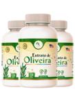 KIT 3 Suplemento Extrato de Oliveira 120 Cápsulas 500mg FitsLife