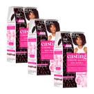 Kit 3 Tinturas Casting Creme Gloss Ameixa 316