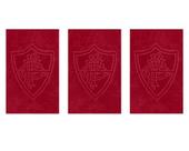 Kit 3 Toalhas de Academia/Mão Buettner Fluminense Vermelho