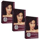 Kit 3 TONALIZANTE HASKELL 366 CASTANHO ESCURO VERMELHO INTENSO Kit 3 TONALIZANTE HASKELL 366 CASTANHO ESCURO VERMELHO INTENSO