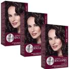 Kit 3 TONALIZANTE HASKELL 400 CASTANHO MEDIO Kit 3 TONALIZANTE HASKELL 400 CASTANHO MEDIO