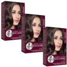 Kit 3 TONALIZANTE HASKELL 610 LOURO ESCURO ACINZENTADO