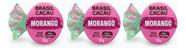 Kit 3 Trufas Morango 30g Brasil Cacau Chocolate Ao Leite