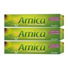 Kit 3 und Creme De Arnica 60g Arte Nativa